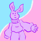 funny bunny